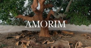 Corticeira Amorim: Análise resultados 2021